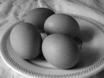 Foto Noticia Cómo manipular con seguridad los alimentos